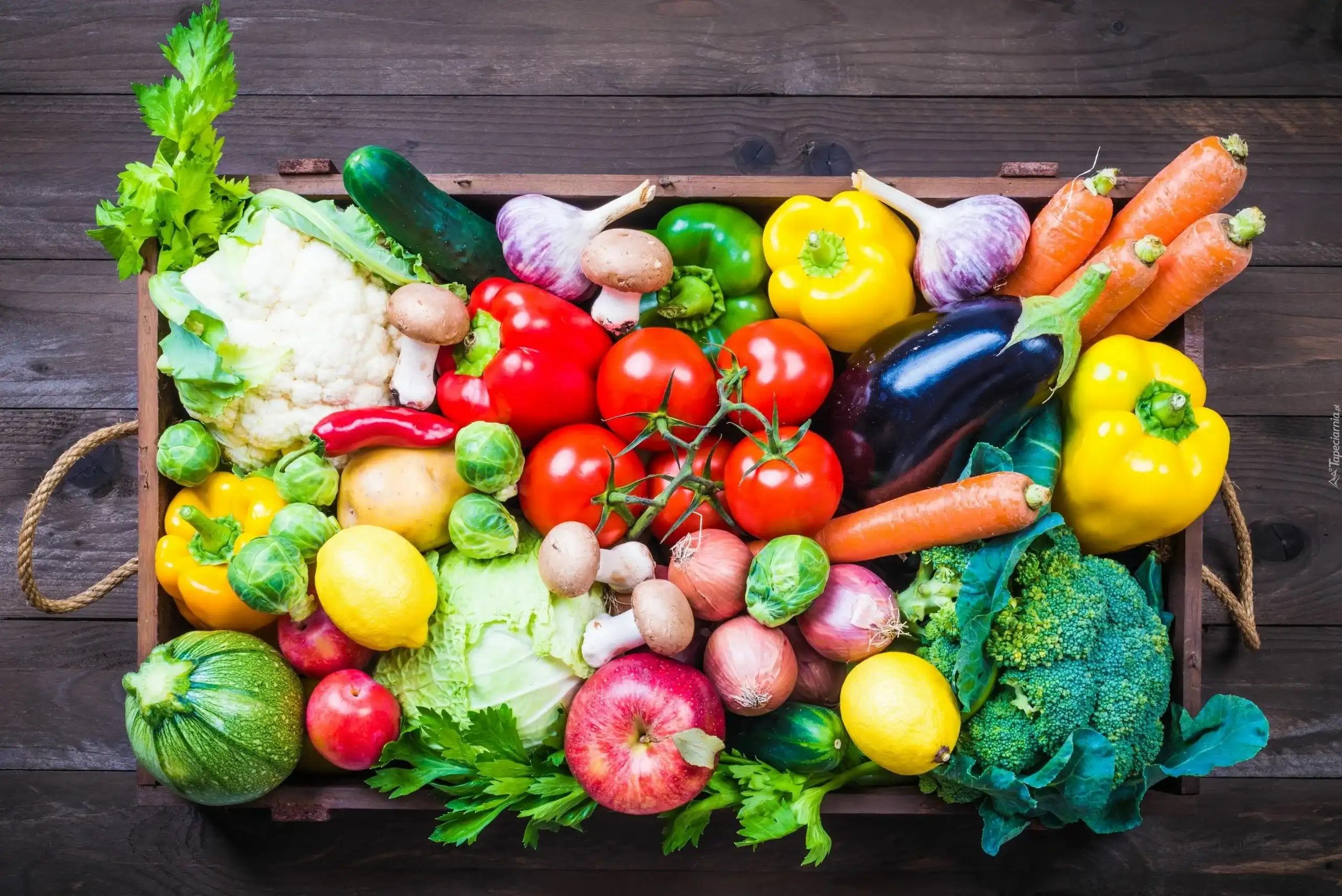 Verduras y Frutas